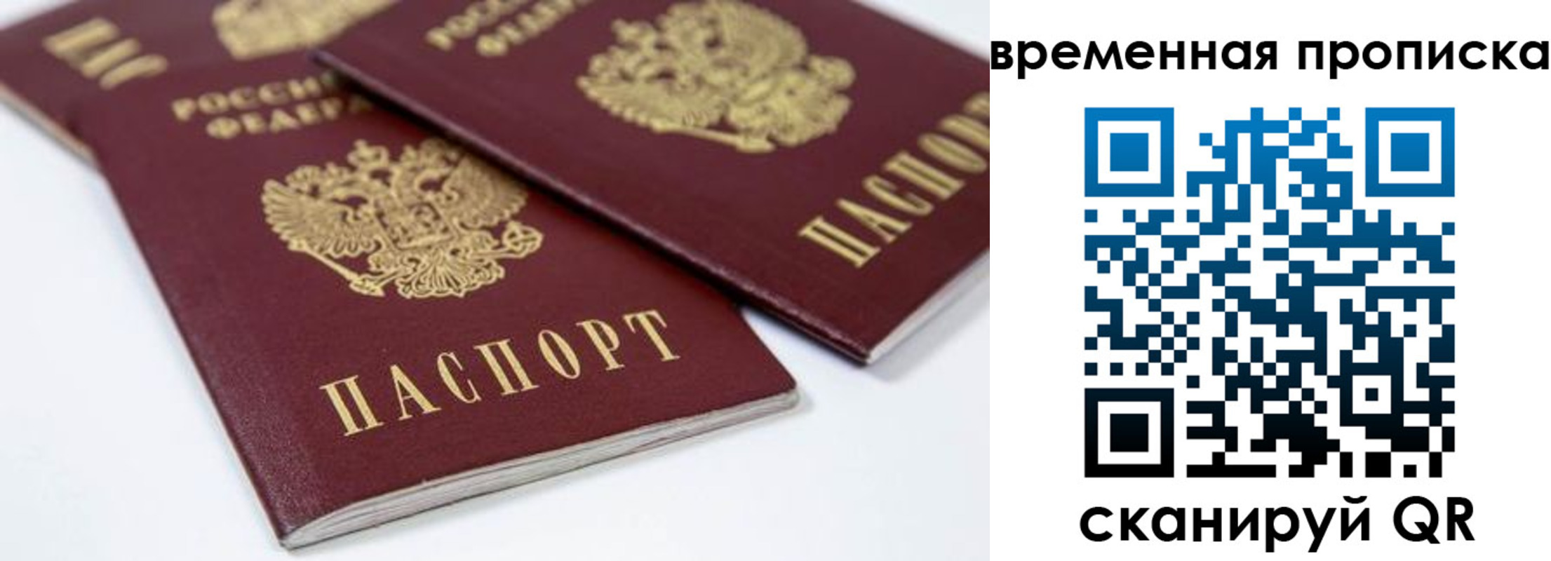 прописка для школы в Дигоре
